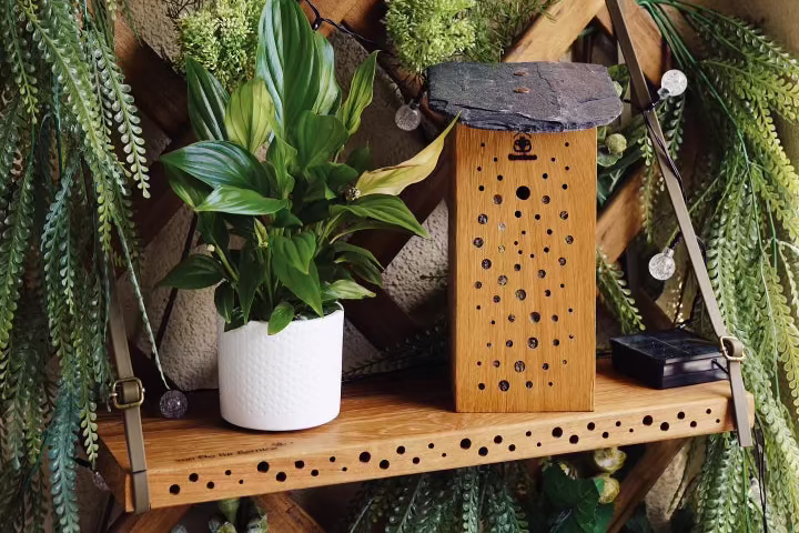 balcony bundle