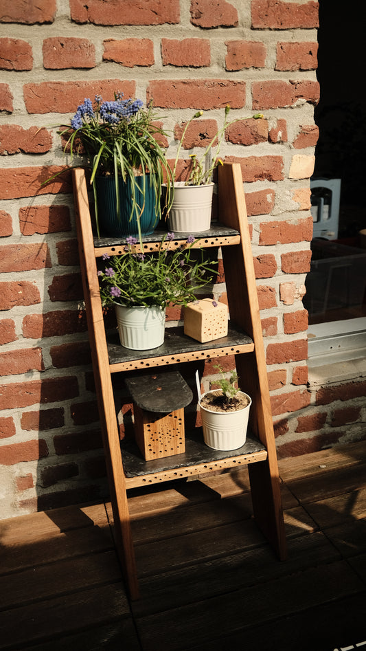 Bienenleiter Stairbee