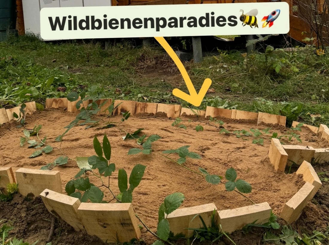 Wildbienenparadies