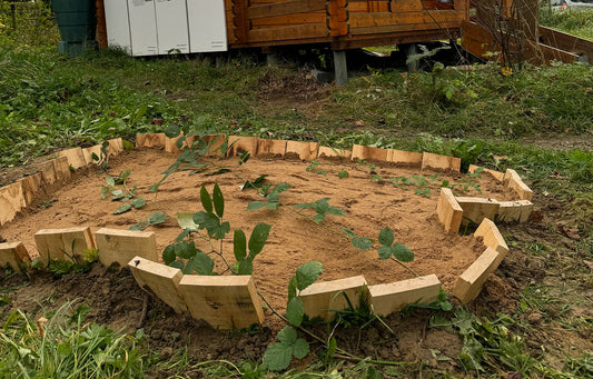 Sandarium aus Holz und Sand