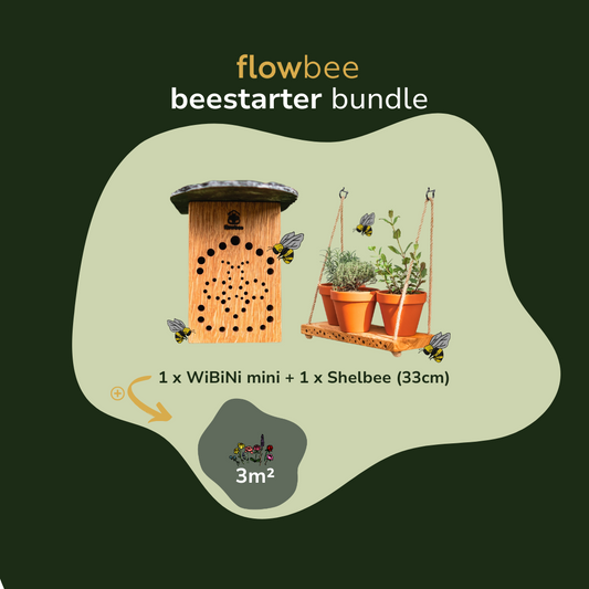 beestarter bundle