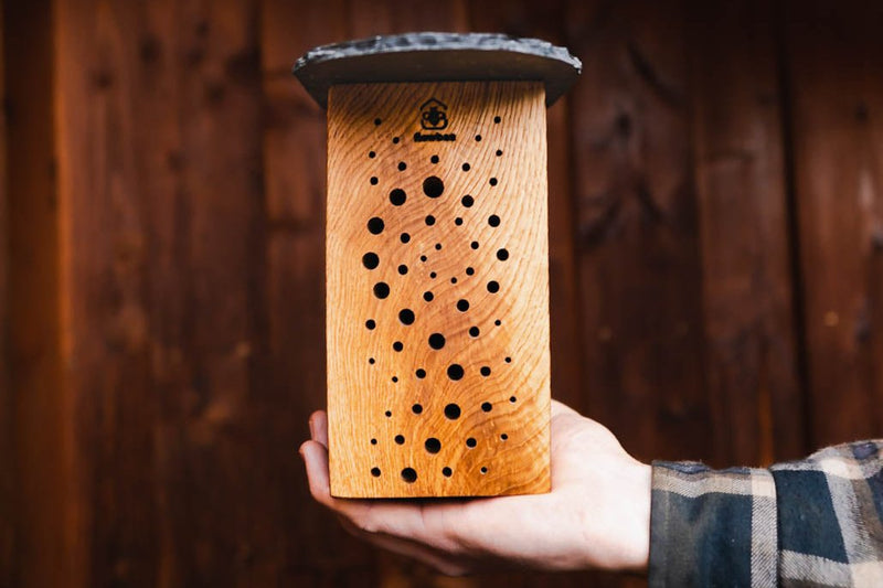 WiBiNi mit Schönheitsfehler