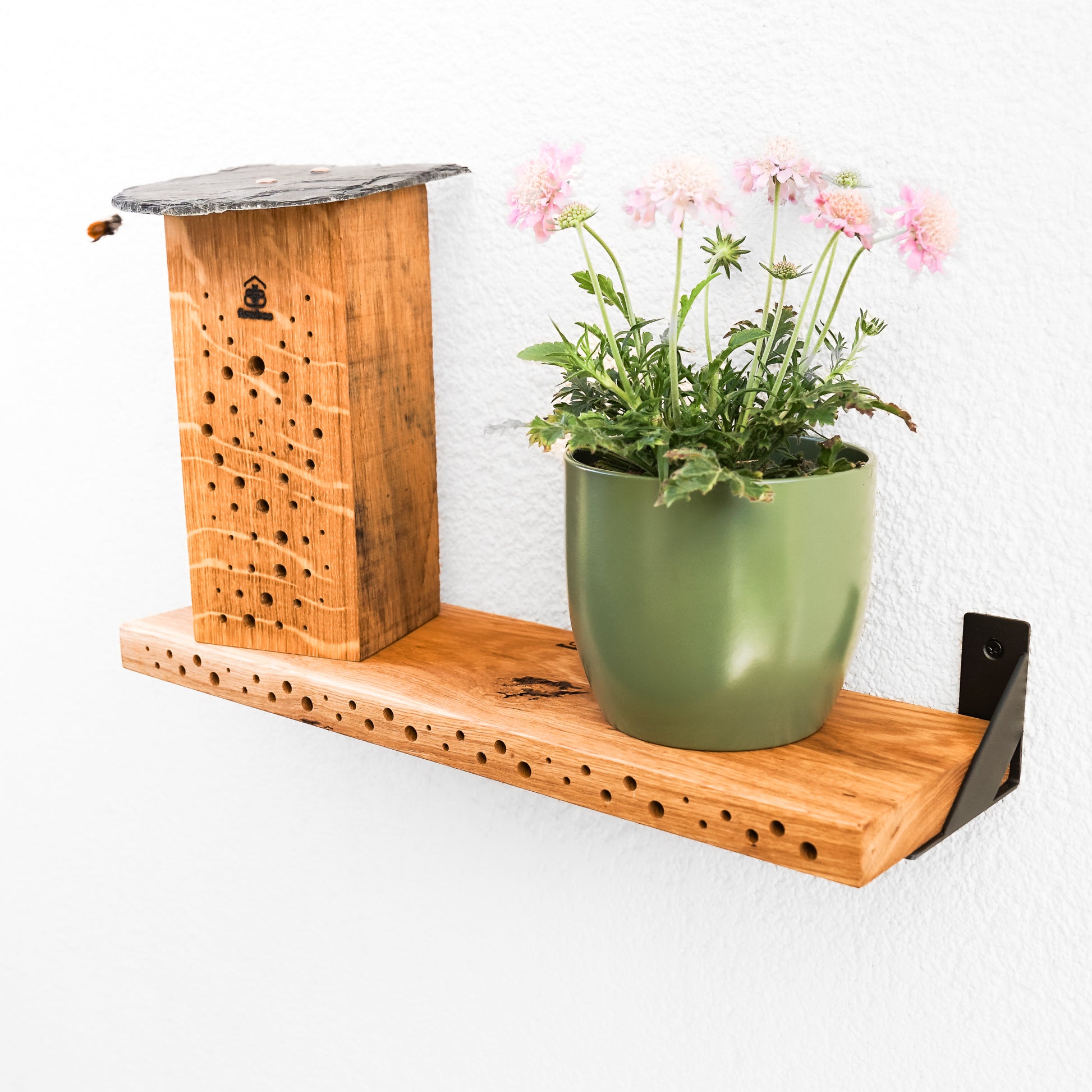 Shelbee Bienenregal mit schwarzen Winkeln. Auf der Wildbienen Nisthilfe Shelbee steht eine weitere Wildbienen Nisthilfe und ein Blumentopf. Gehörnte Mauerbiene fliegt durch das Bild. Das Bienenregal ermöglicht eine naturnahe Balkongestaltung.