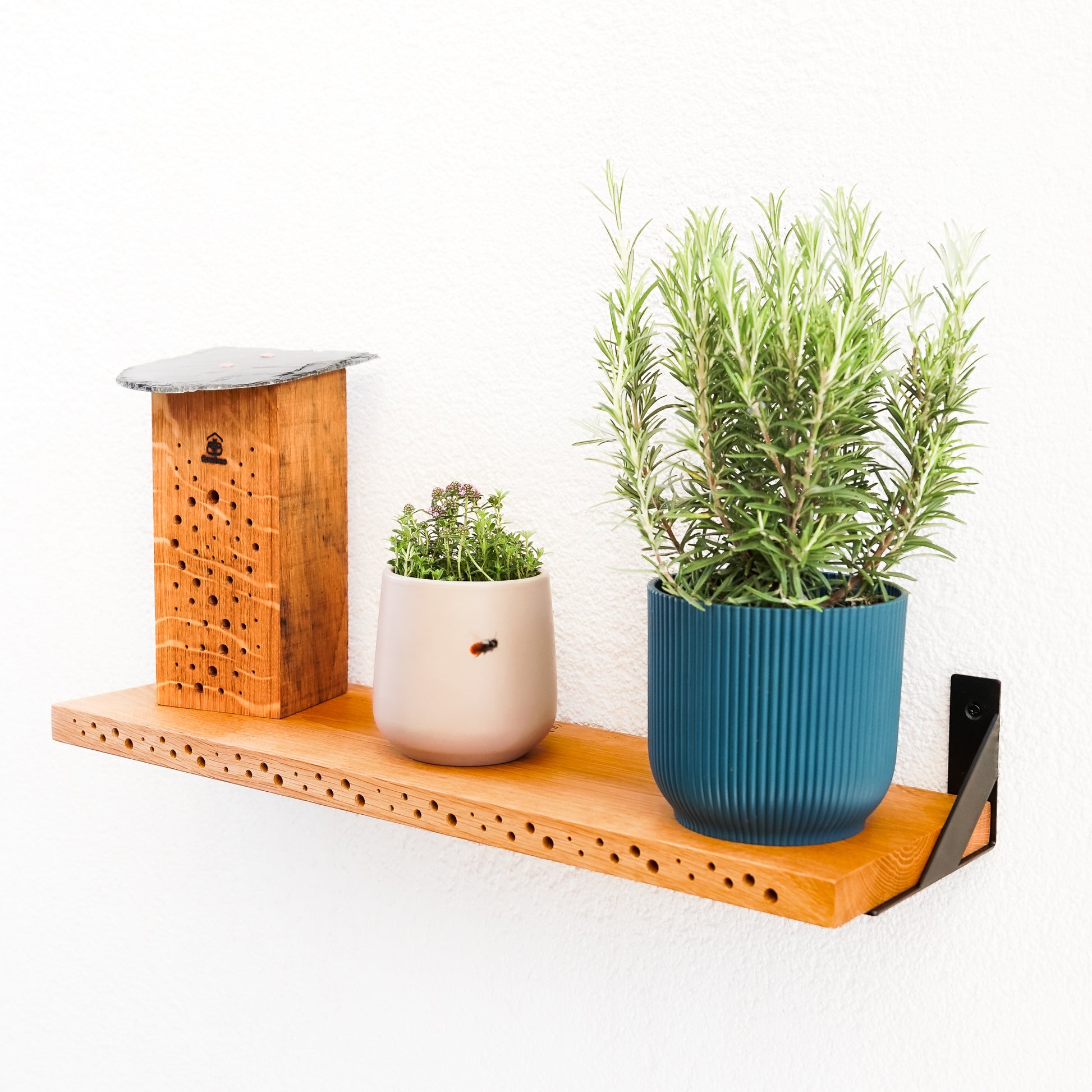 bienenregal, shelbee, wildbienen nisthilfe, naturkino, winkel