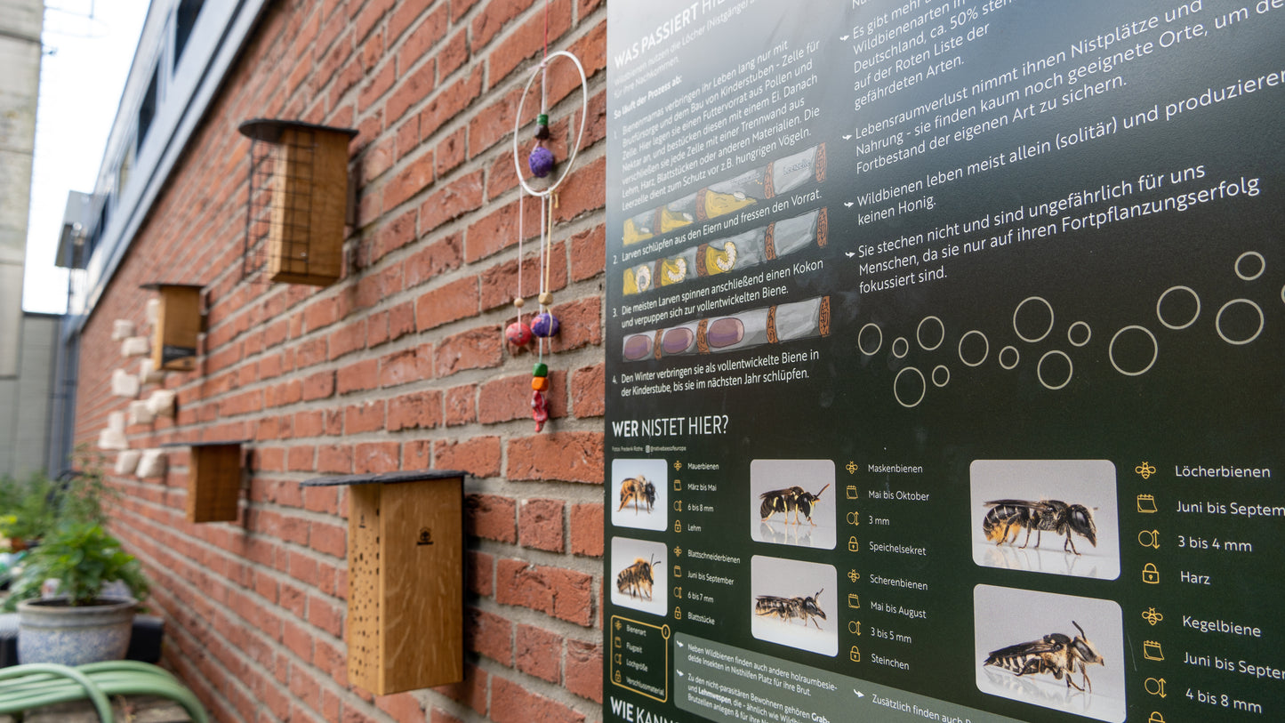 Deine Unterstützung für Schulprojekte