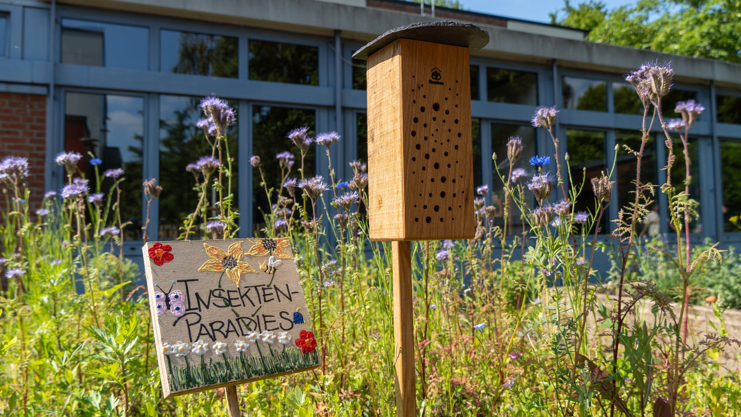 Deine Unterstützung für Schulprojekte