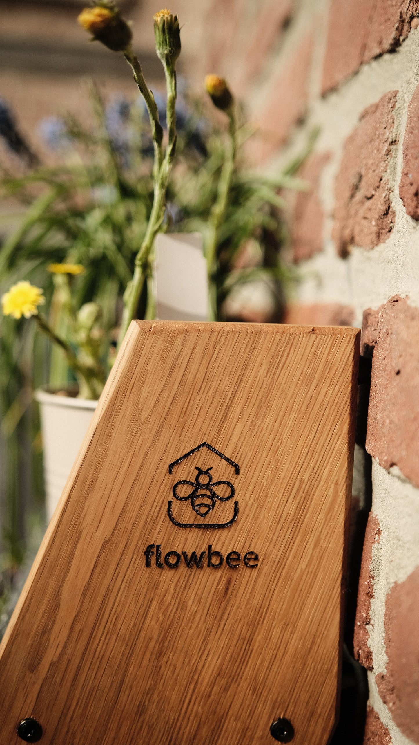 Stairbee - jetzt vorbestellen