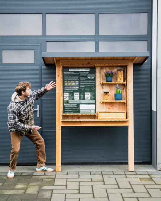 BigBiNi - auf Anfrage