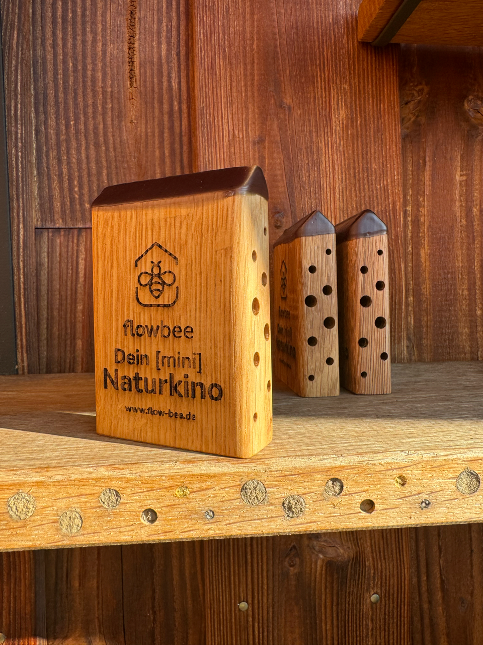 MiniBee - Dein [mini] Naturkino