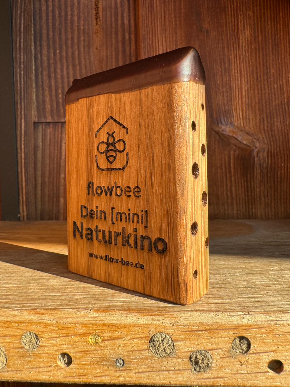 MiniBee - Dein [mini] Naturkino