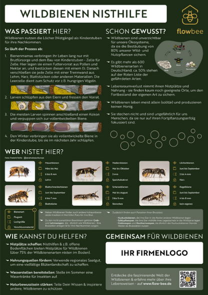 Infotafel Wildbienen Nisthilfe ohne Personalisierung