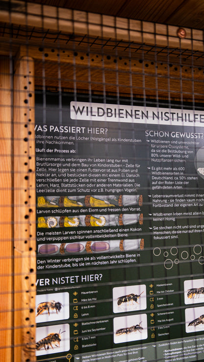 Infotafel Wildbienen Nisthilfe ohne Personalisierung