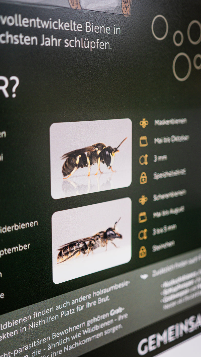 Infotafel Wildbienen Nisthilfe mit Personalisierung