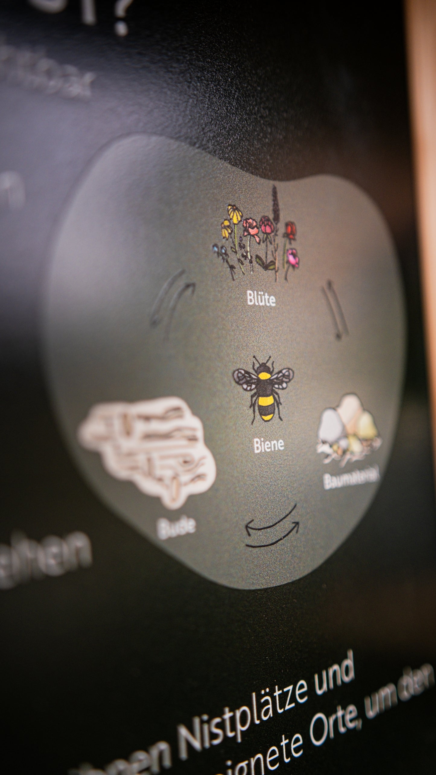 Infotafel Wildbienen Nisthilfe ohne Personalisierung