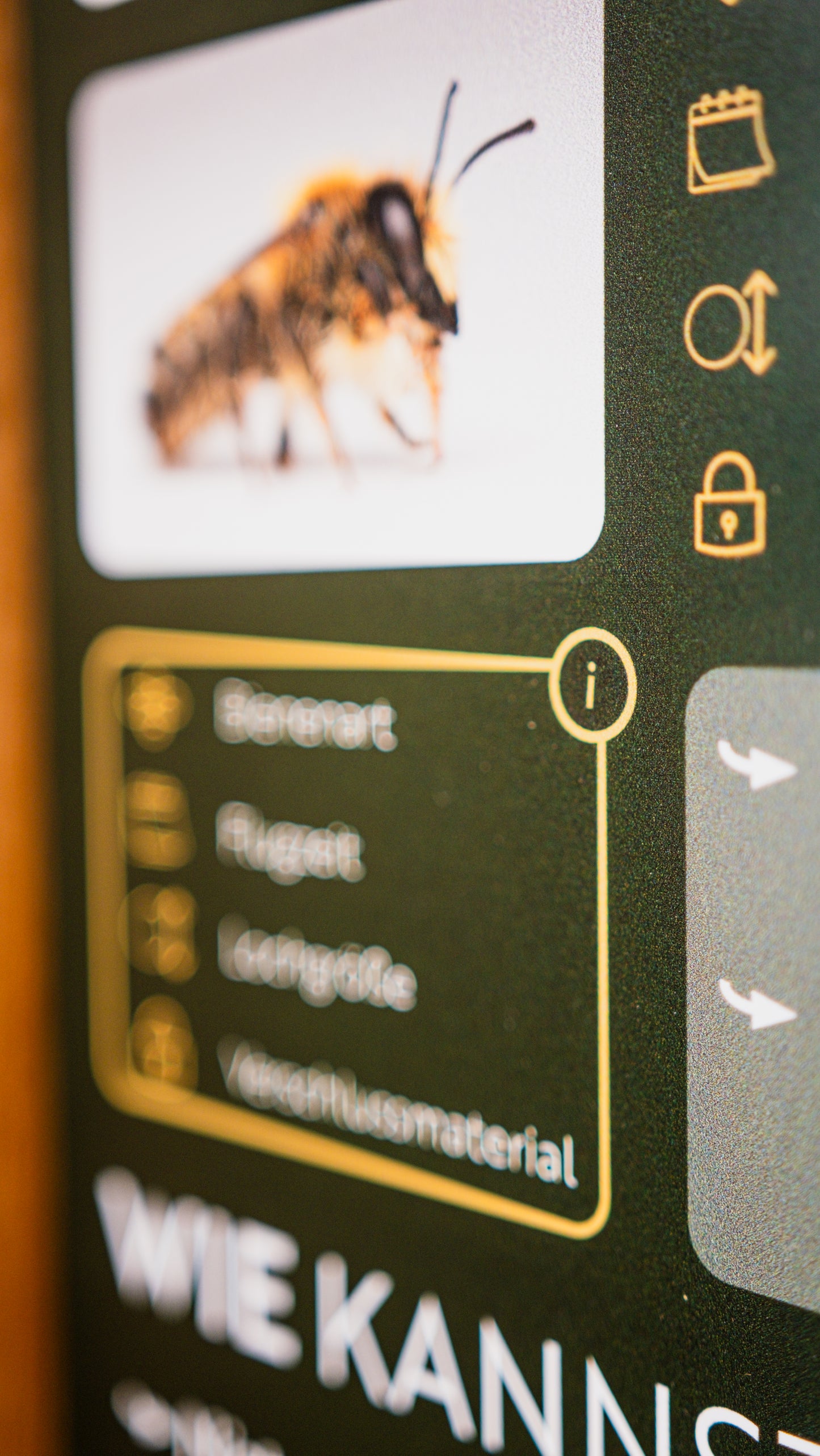 Infotafel Wildbienen Nisthilfe ohne Personalisierung