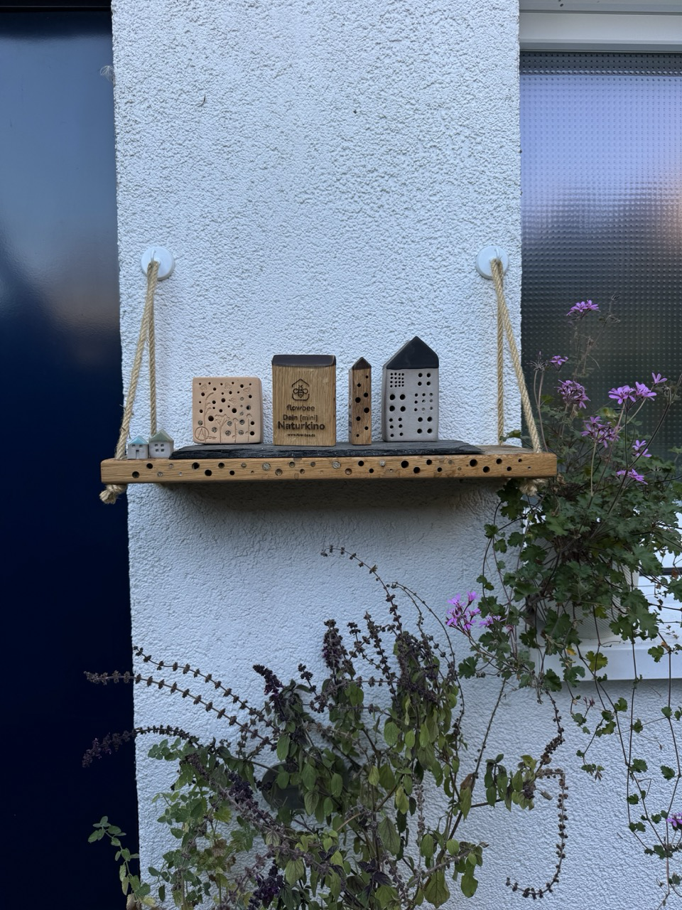 MiniBee - Dein [mini] Naturkino