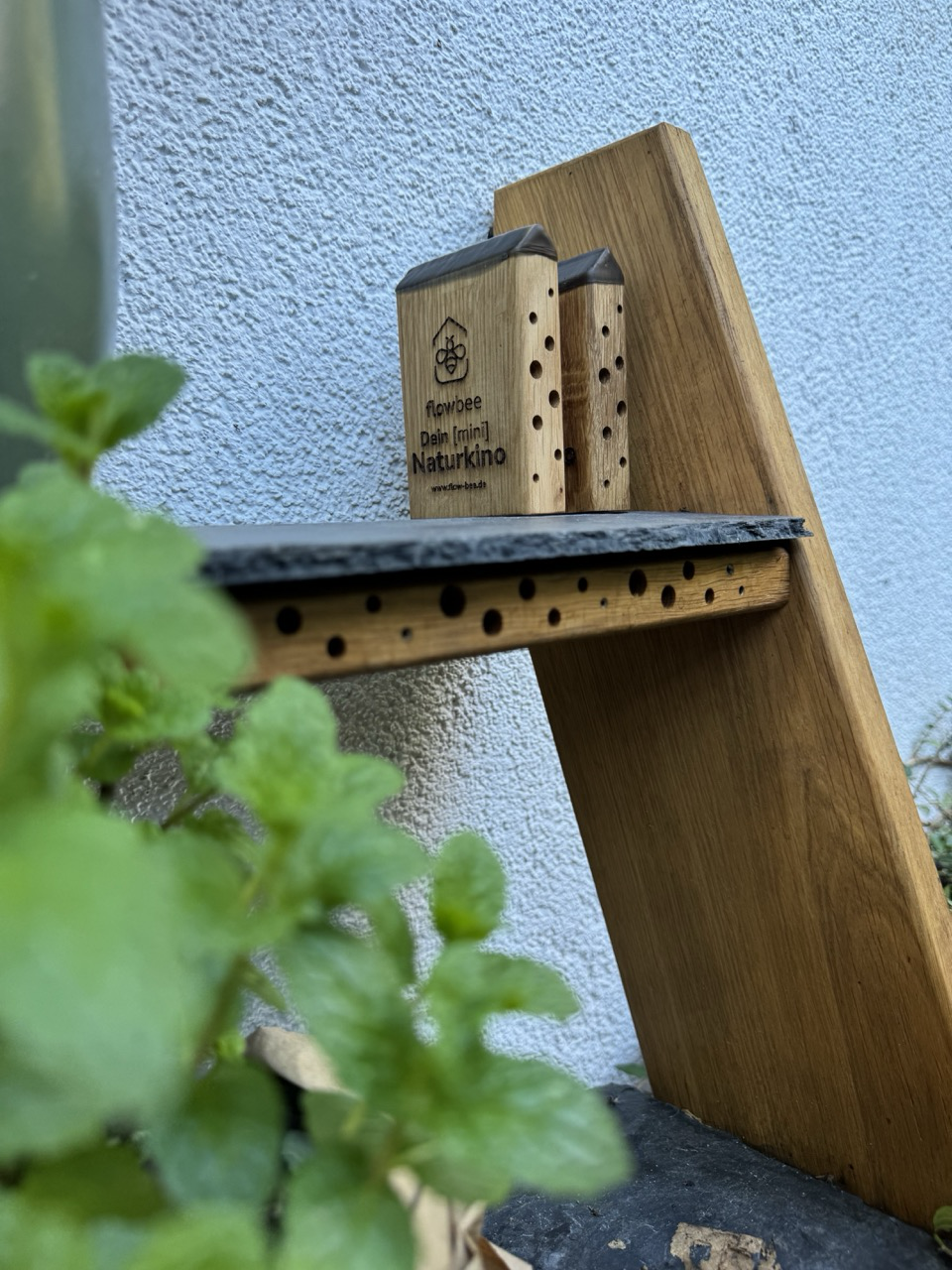 MiniBee - Dein [mini] Naturkino