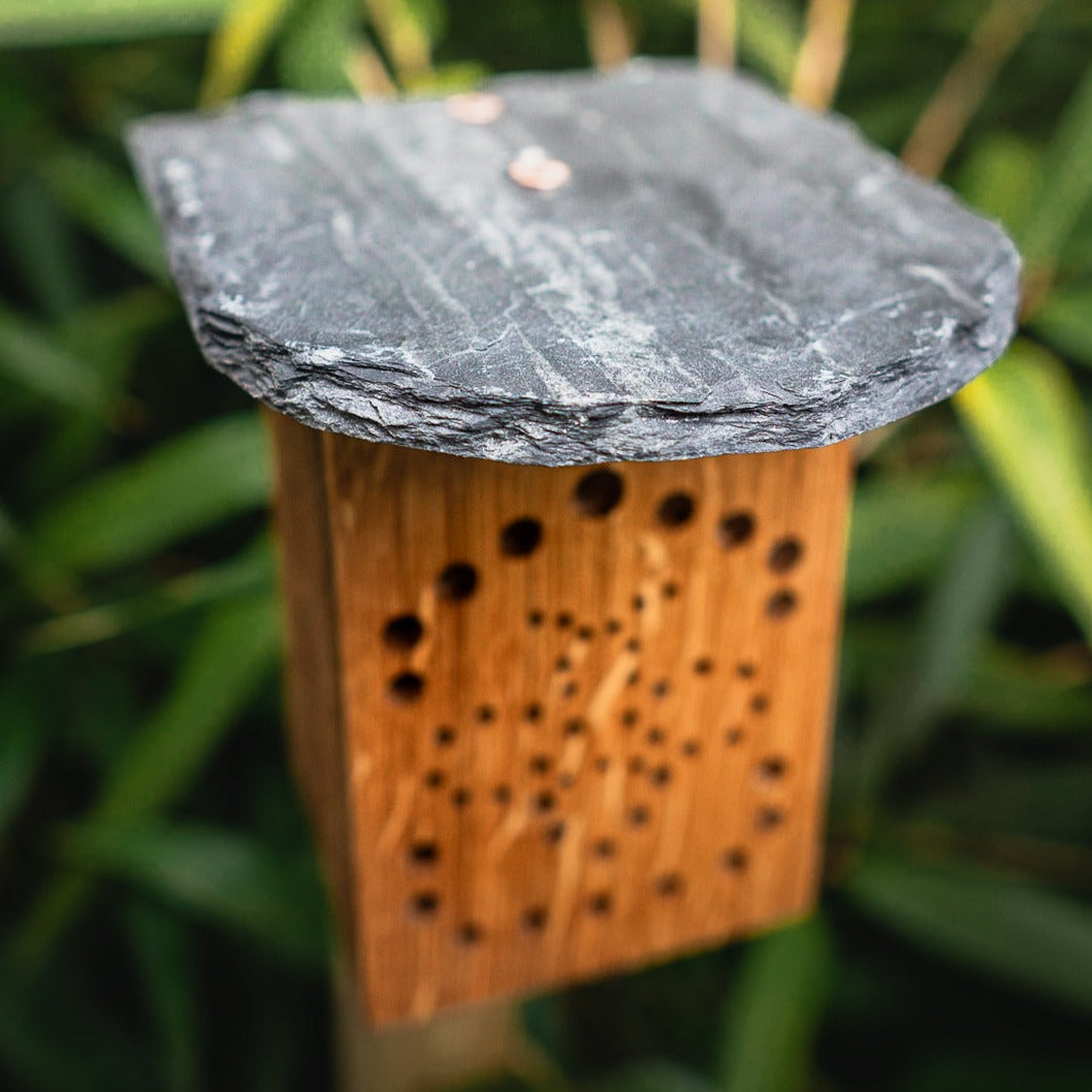 WiBiNi Mini