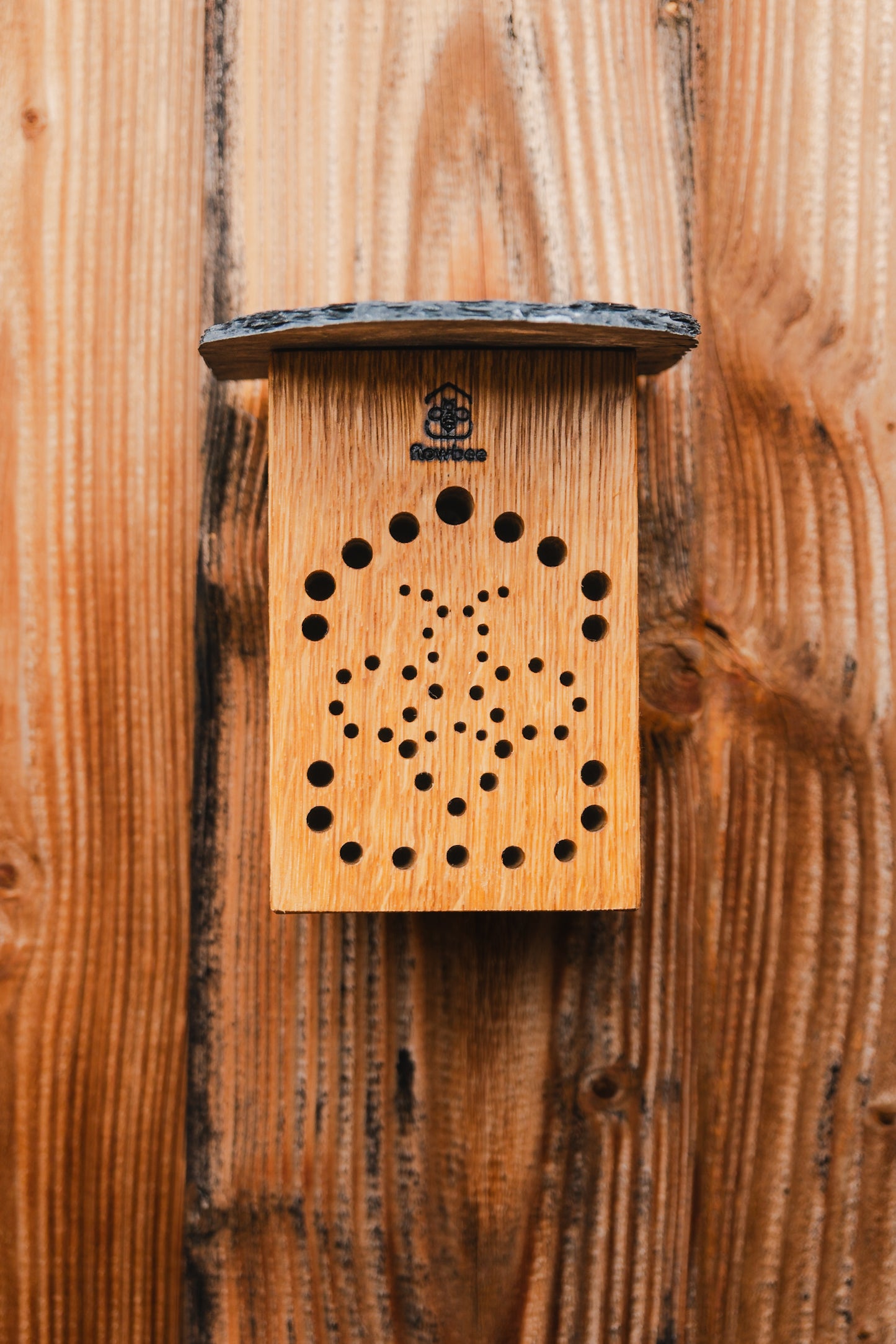WiBiNi Mini