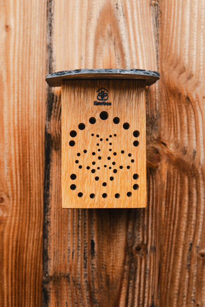 WiBiNi Mini