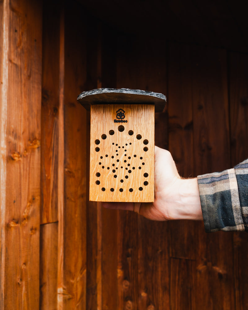 WiBiNi Mini mit Schönheitsfehler