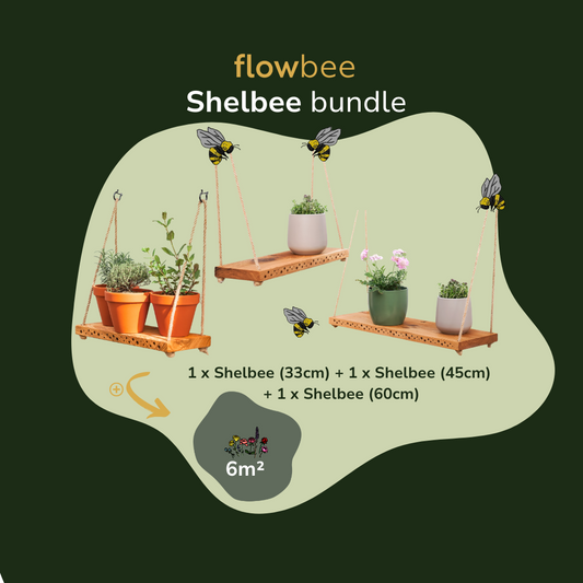 Shelbee bundle