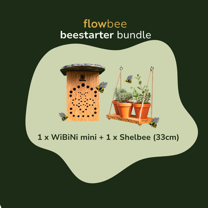 beestarter bundle