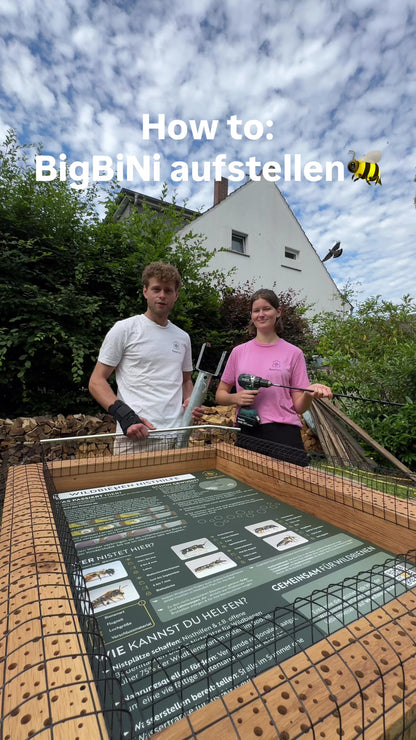 BigBee