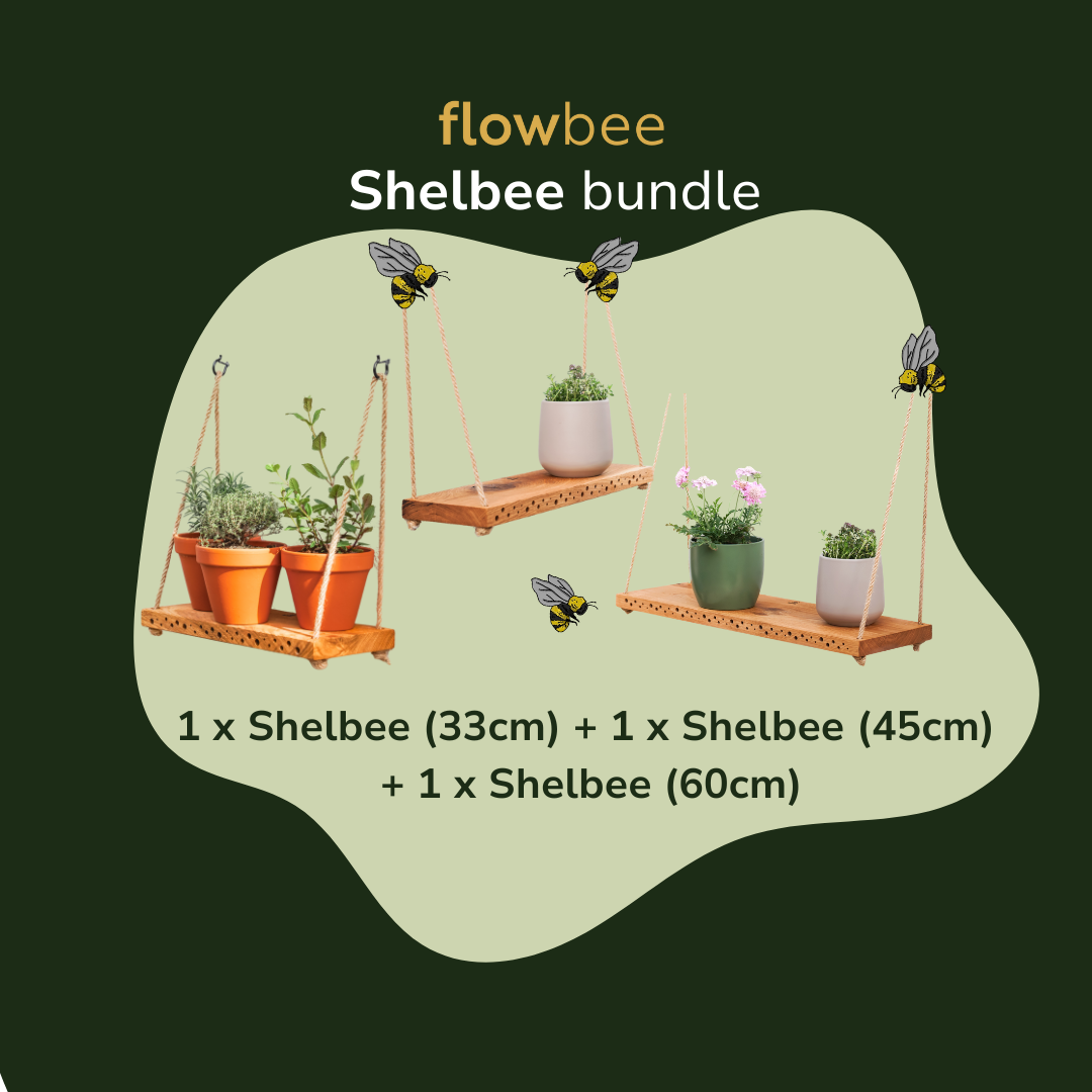 Shelbee bundle